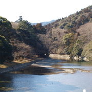 綺麗で落ち着かせる川