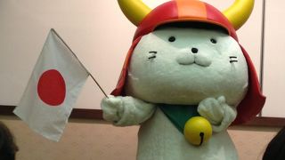 綺麗な桜でした。