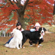 秋・紅葉を楽しむ