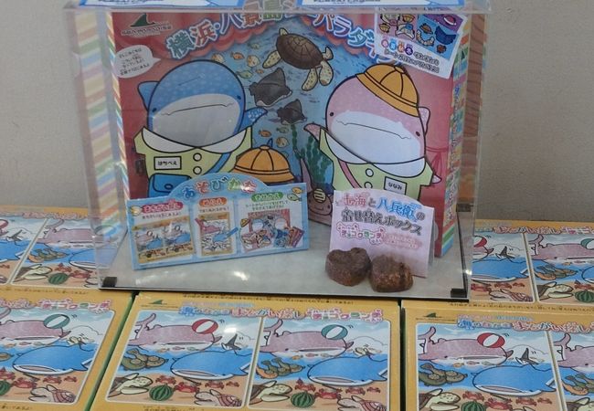 海のインテリア雑貨からお菓子などのお土産が充実