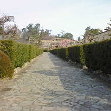 植え込みの整え方が見事です。