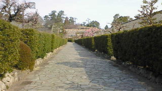 整然と続く閑静な武家屋敷通り