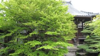 紅葉がきれいです