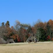 貝塚のある広場。芝生広場で遊べます。