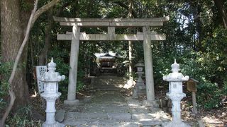 いかにも奈良らしいコメントです