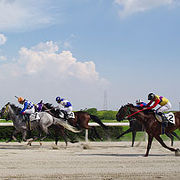 のどかな地方競馬