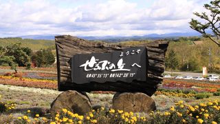 秋でも色とりどりの花が迎えてくれます