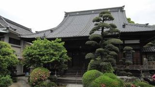 殿様と共に久留米へ来ました By ひびき５６ 妙正寺のクチコミ フォートラベル