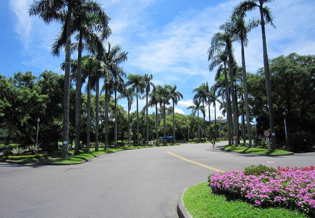 どこの公園、って感じです