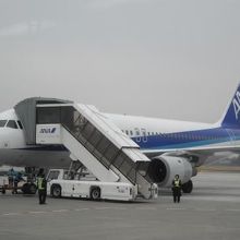 機材は国内線用のA320