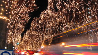 仙台冬の風物詩