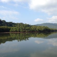 水面が鏡の様な仲間川