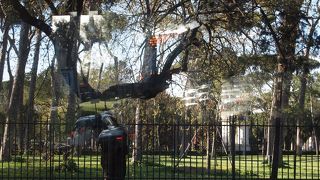 ローマの街中からすぐの大きな公園