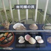 海洋生物の展示があります