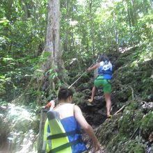 くらげ目指して山登り