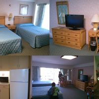 ステューディオ