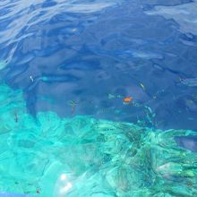 船からみるとこんな感じ