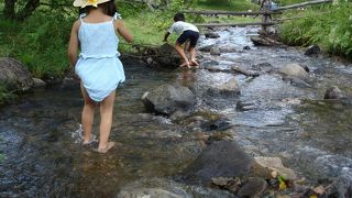 子供連れでピクニック