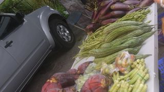 ローカル色豊かな朝市