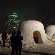 横手公園 --- 普段の光景が、ちょっと分からないのですが「横手かまくら」の時は必見です！