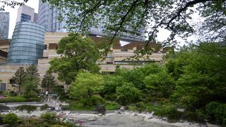 池に水もなくがっかり