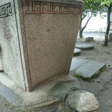 確かに亀ですよね