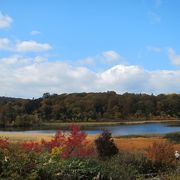 紅葉の時期もきれい