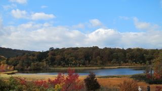 紅葉の時期もきれい