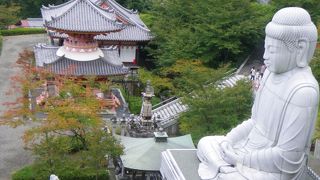 山の中の、巨大仏と日本で初めての老人ホームのあるお寺
