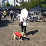 大通公園のイベント