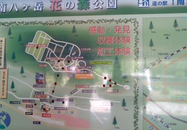 南八ヶ岳花の森公園 クチコミ アクセス 営業時間 清里 八ヶ岳 フォートラベル