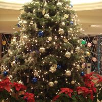 ロビーのツリー。クリスマスは過ぎてるのに・・・