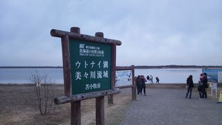 春先なので寒々しかった