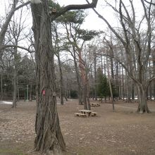 イスとテーブルがあちらこちらにあります