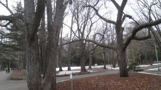 市街地からちょっと離れれば自然がいっぱい♪