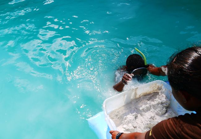 海底３〜５メートルのところに泥が溜まっているそうです