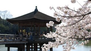 季節の花と散策