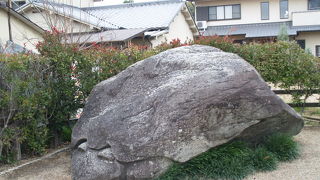 春のピクニックコースの最高の場所