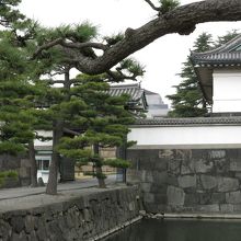 松と石垣と御門・・・その先は大奥