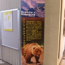 カムチャッカの特別展も開催されていました