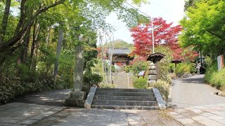 お寺は小さいですが花は満開で～す。