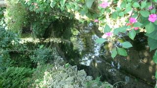 山の中にある“井泉”