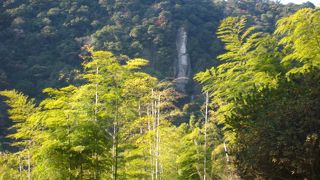 桜島の眺めが最高！！！