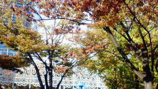 ルミナリエ会場に残る震災の記憶