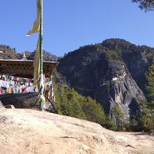 馬はここまで。