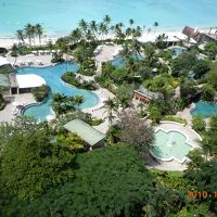 上から見たプール