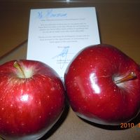 ウェルカムフルーツ