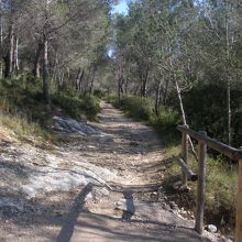橋の奥に続くハイキングルート