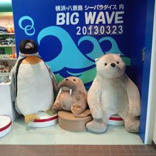 これ１匹　１０万５千円・・・チン