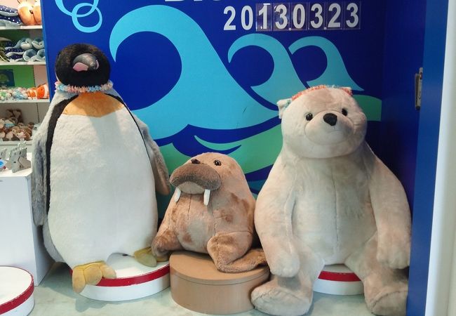 ビッグウェーブ クチコミ アクセス 営業時間 八景島 フォートラベル
